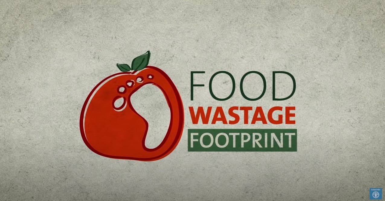 Food Wastage Footprint Video